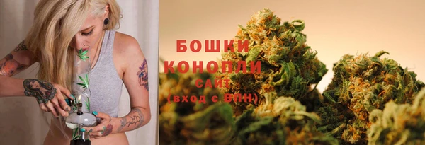 ПСИЛОЦИБИНОВЫЕ ГРИБЫ Наволоки
