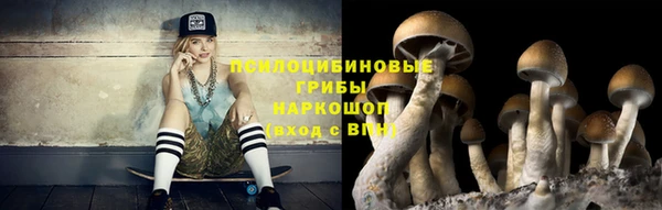ПСИЛОЦИБИНОВЫЕ ГРИБЫ Наволоки