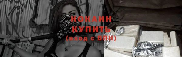 ПСИЛОЦИБИНОВЫЕ ГРИБЫ Наволоки
