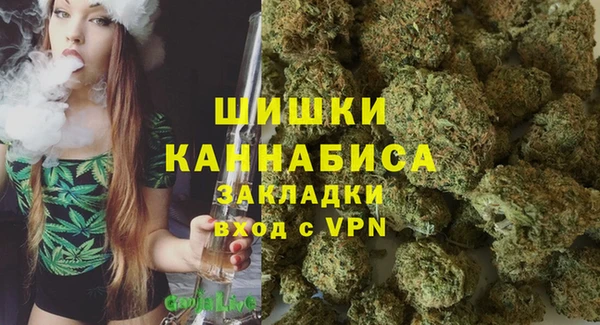 МДПВ Навашино