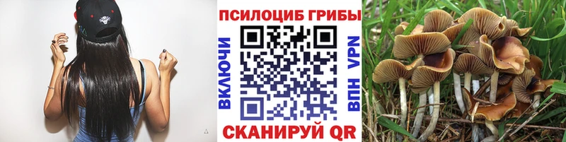 Галлюциногенные грибы ЛСД Кумертау