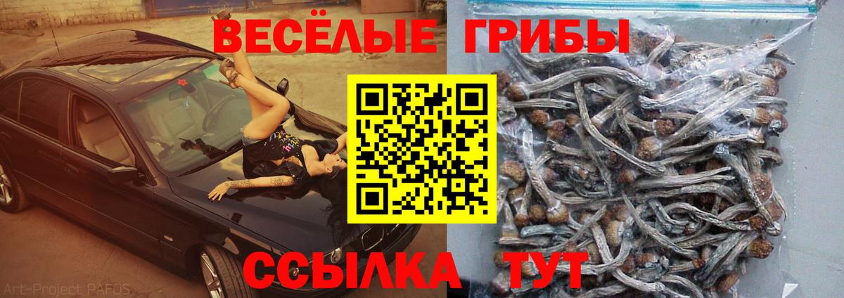 Галлюциногенные грибы прущие грибы Кумертау